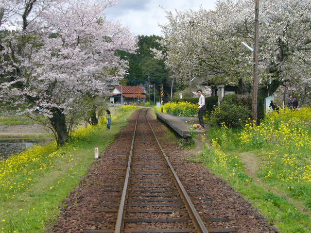 ローカルな春…_d0147789_19414545.jpg