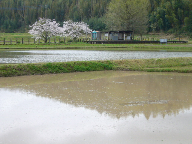 d0147789_19431174.jpg