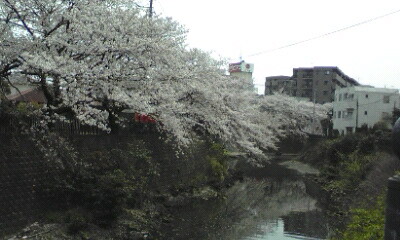 e0054290_115139.jpg