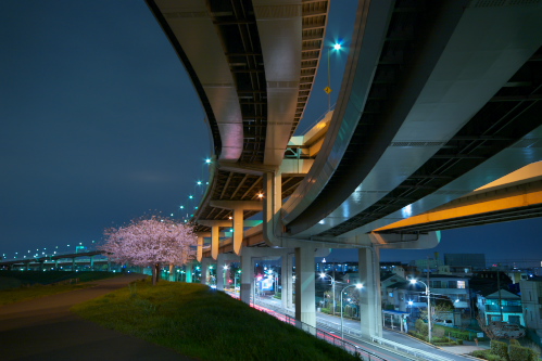 夜桜と江北JCT_c0082191_022379.jpg