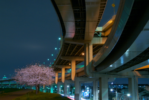 夜桜と江北JCT_c0082191_034968.jpg