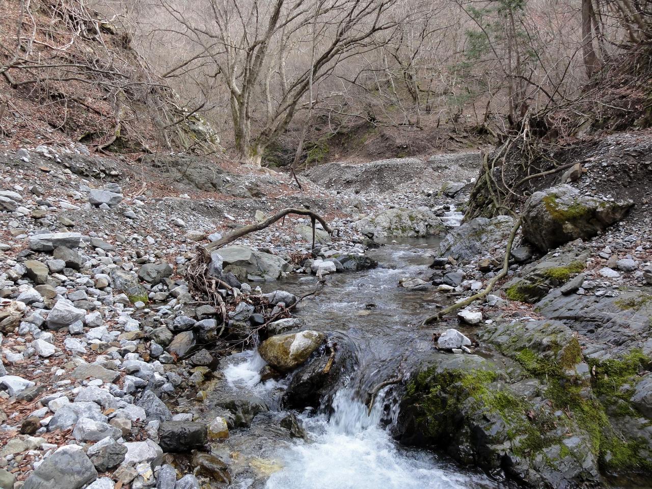 御池岳と藤原岳、二つ一遍に登山_e0110500_145536.jpg