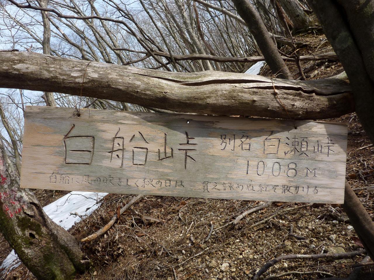 御池岳と藤原岳、二つ一遍に登山_e0110500_21441233.jpg