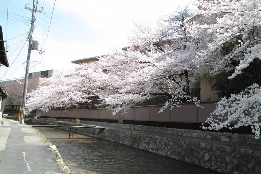 京都 その2_c0212902_9562095.jpg