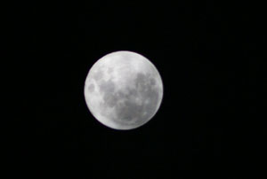 b0040606_16124087.jpg