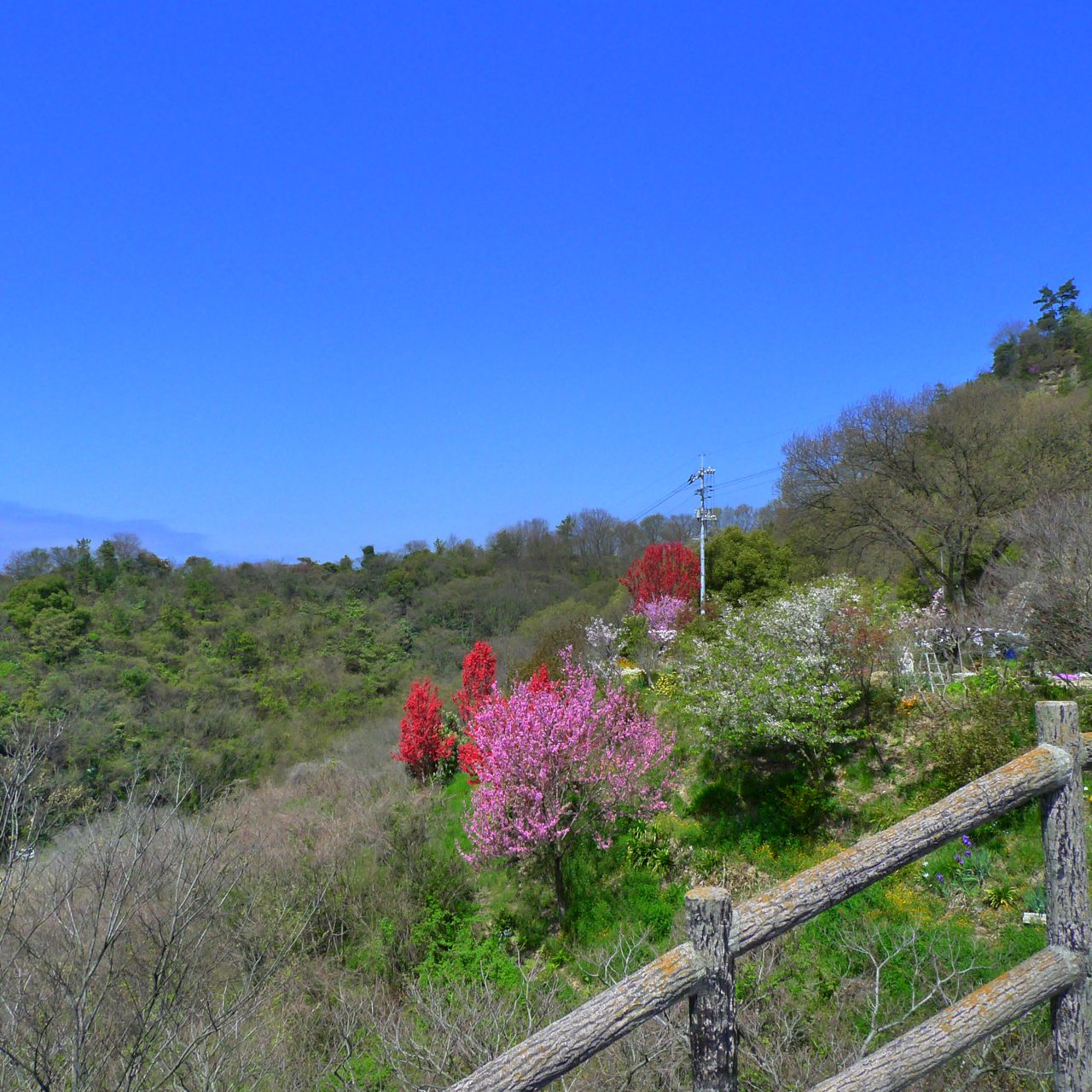 2010年初めてのしまなみ海道の旅_b0168516_18573858.jpg