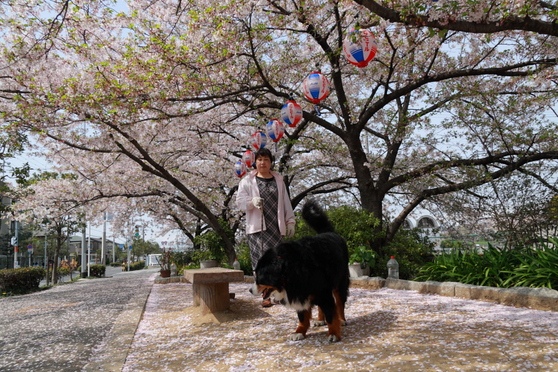 桜ももう見おさめだねぇ_b0065717_22185597.jpg