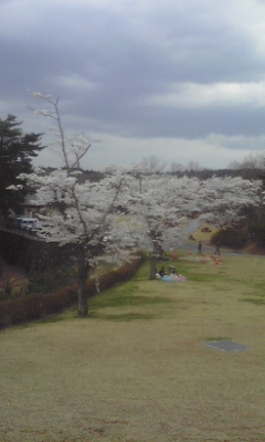 c0204518_14571730.jpg