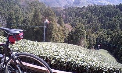 大正池～奈良自転車道　_e0171018_047418.jpg