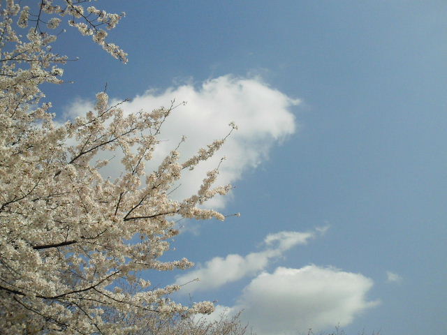 e0114823_11175950.jpg