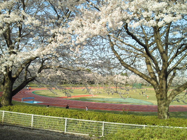 e0114823_11262498.jpg