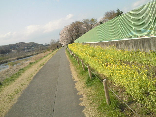 e0114823_11271380.jpg