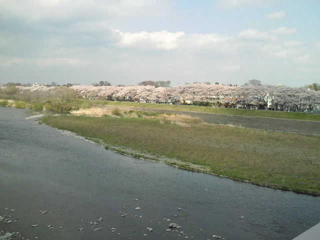 e0114823_1174711.jpg