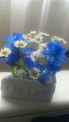 d0141924_22323110.jpg