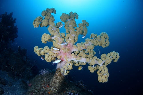 f0206424_1040253.jpg
