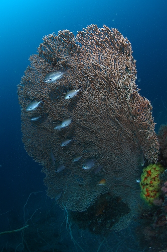 f0206424_1040744.jpg