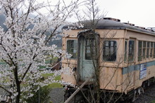e0061225_13331327.jpg