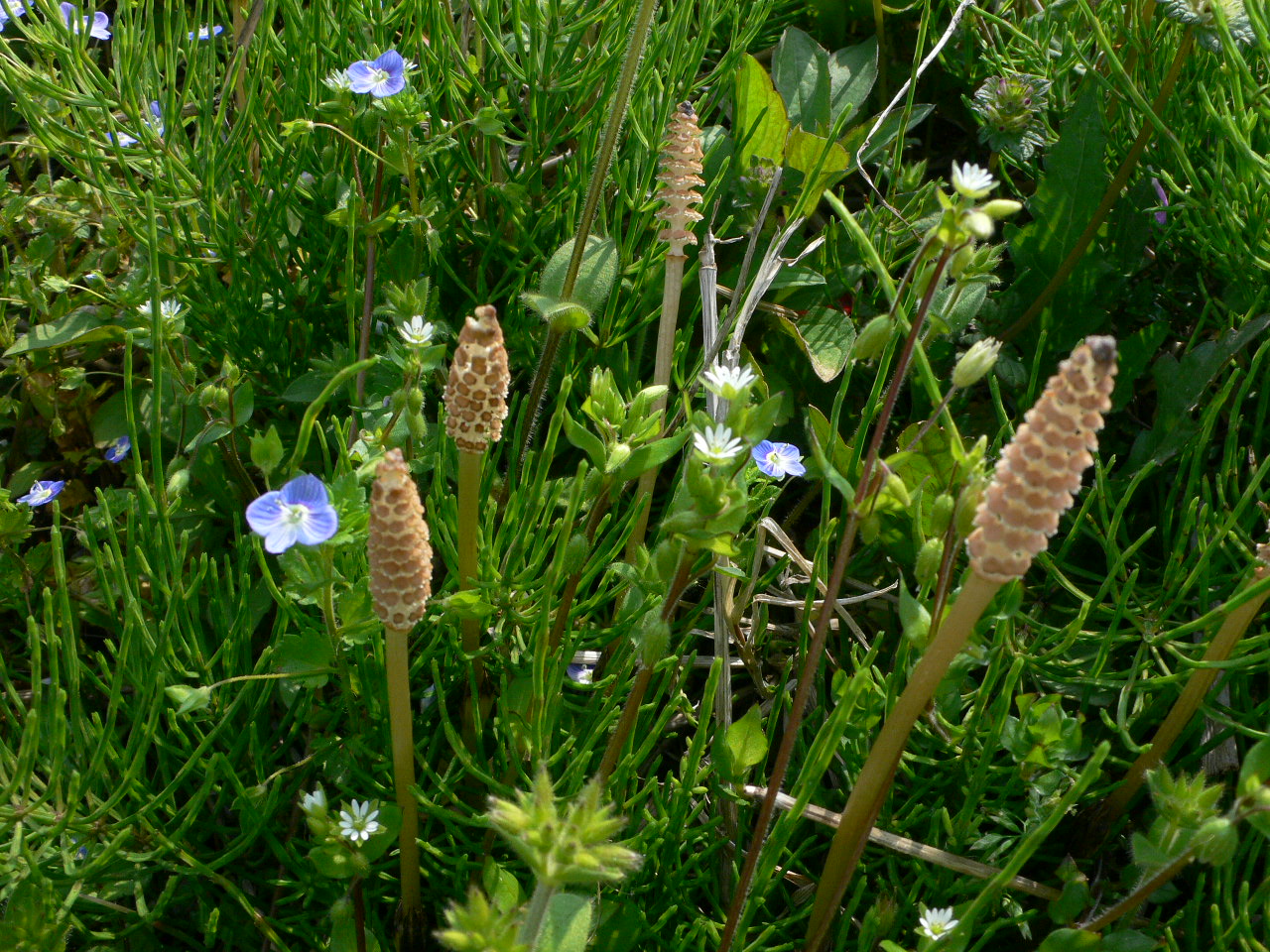 d0092026_21443056.jpg