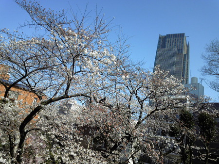 東京の広さ_e0174526_12305834.jpg