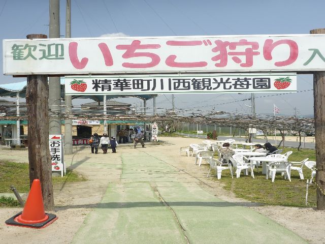 精華町　川西苺園と大仏の鼻の穴くぐり_b0054727_2055477.jpg