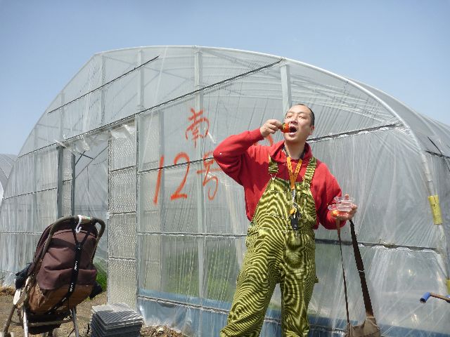 精華町 川西苺園と大仏の鼻の穴くぐり_b0054727_2165289.jpg