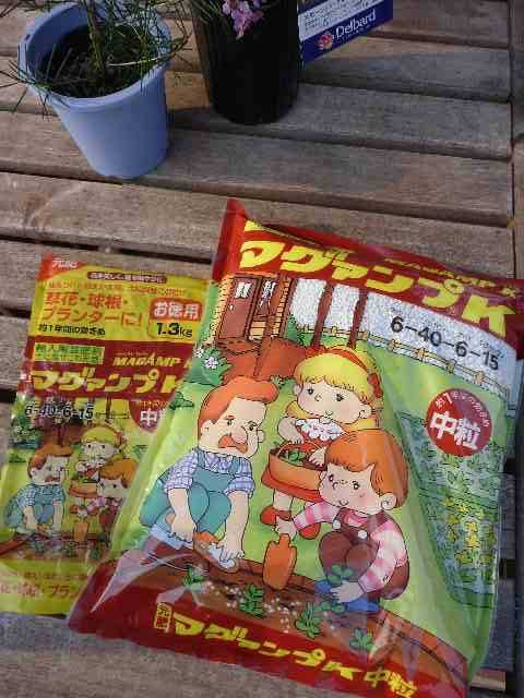 マグァンプK_b0054727_23363876.jpg