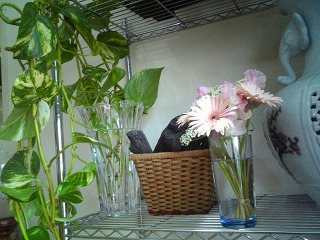 f0032130_13997.jpg