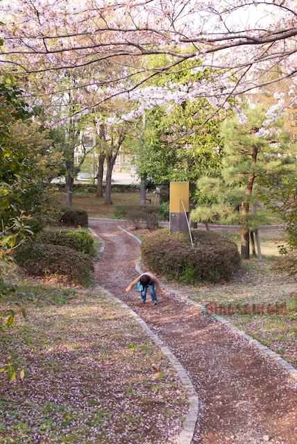 遅すぎるお花見_c0093131_23483246.jpg