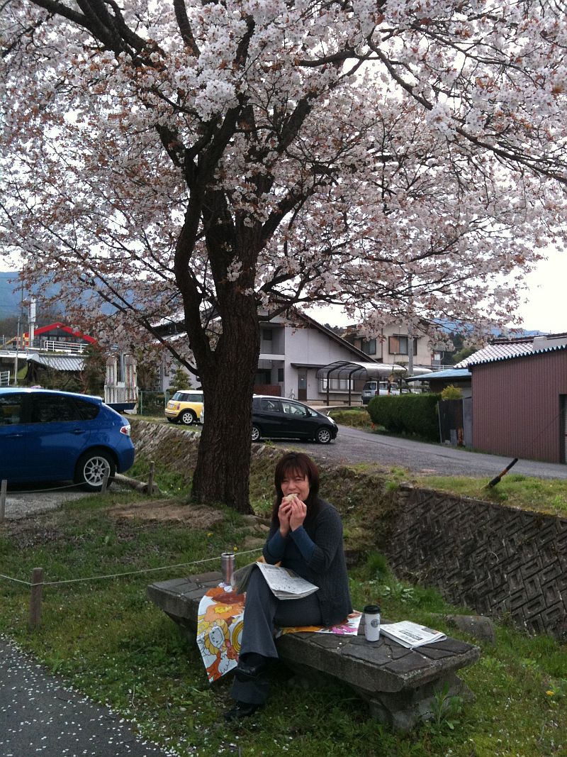 豆腐の味とインプレッサ1,5iと満開の桜_f0076731_17334957.jpg