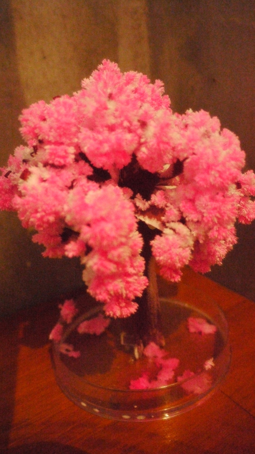 夜桜〜_b0181732_1841462.jpg