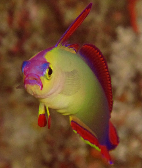 4月11日ようやく沖縄らしく_c0070933_23563772.jpg