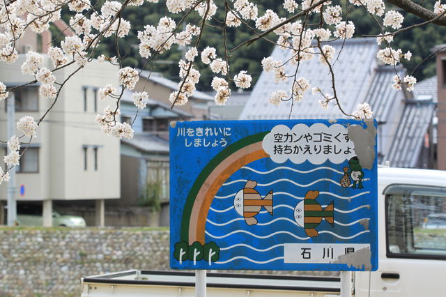 c0222635_0485963.jpg