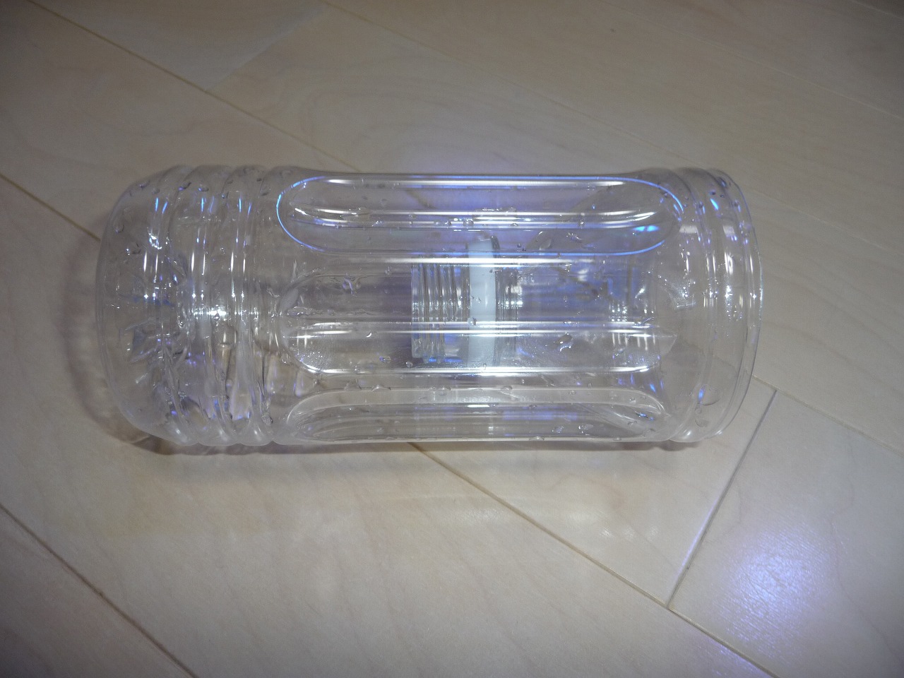 やっと れいパパの海水水槽奮闘記 やっと れいパパの海水水槽奮闘記