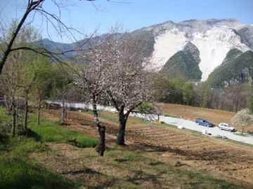 桜’10_d0136540_1542065.jpg