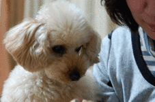 a0147150_21564835.gif