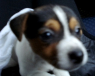 a0166650_2011620.jpg