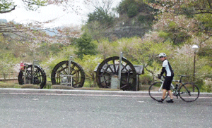 f0229250_2148445.gif
