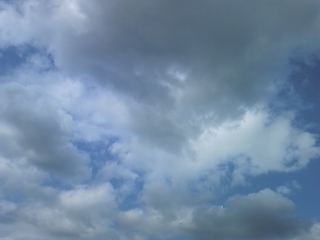 a0162251_105464.jpg