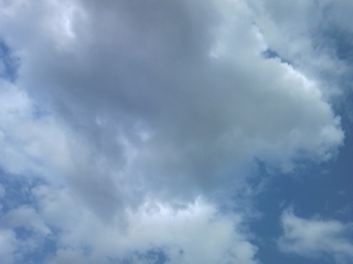 a0162251_11726.jpg