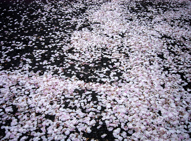 c0225153_22113542.gif