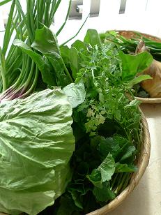 Natural  Vegetable  近藤けいこ_c0187754_1152565.jpg