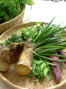 Natural  Vegetable  近藤けいこ_c0187754_11565388.jpg