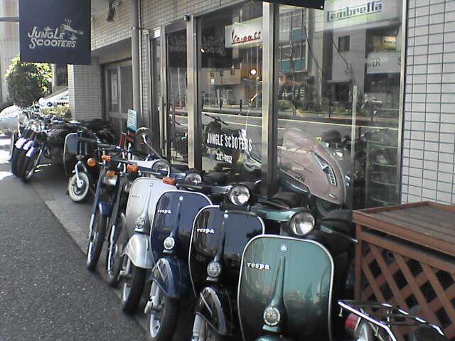 JungleScooters_c0217759_23124837.jpg