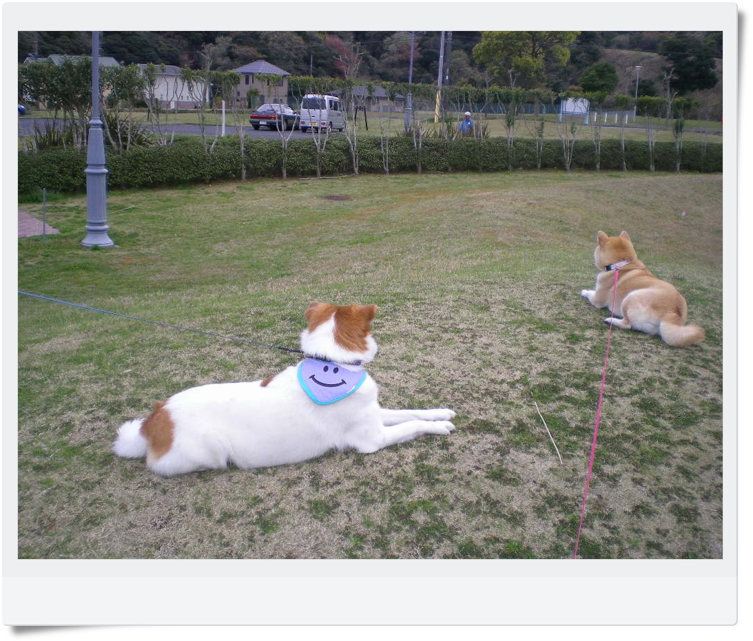 2010年4月11日(日)ルアーちゃんと一緒!_f0060461_8391152.jpg