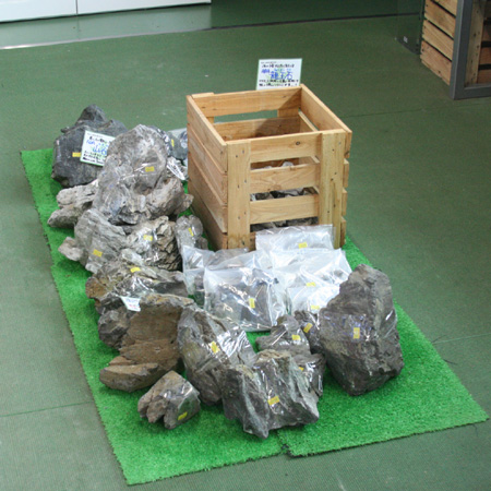 a0162263_22114180.jpg