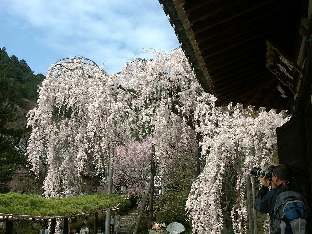b0044663_21433354.jpg