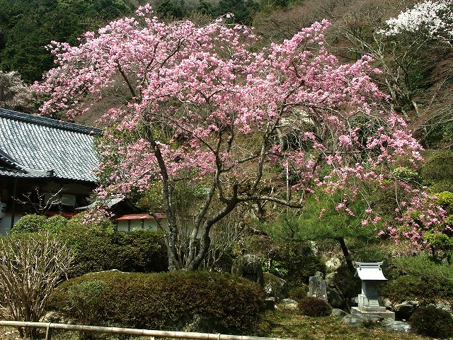 b0044663_21442330.jpg