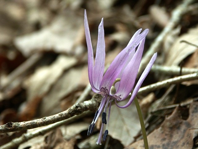 b0044663_2147796.jpg