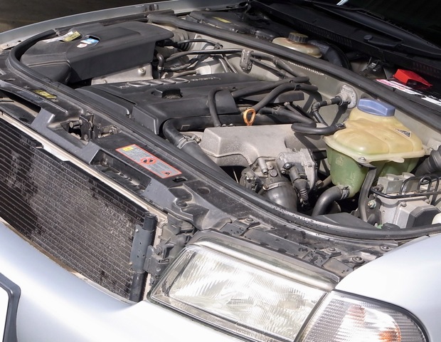 b0173563_15444618.jpg