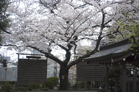 c0071763_11392751.jpg